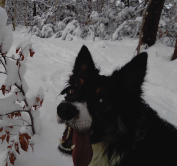 kayleigh enjoying the snow!