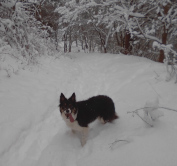 Kayleigh deep in the snow!