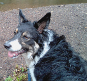 kayleigh near the river